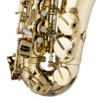 Stagg WSAS215S sa koferom - Image 6