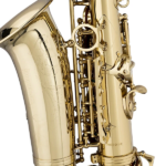 Stagg WSAS215S sa koferom - Image 4