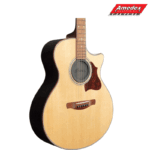 SOUND HOLE COVER Ibanez ISC1-feedback eliminator - Image 2