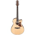 Ibanez AAM50CE-OPN