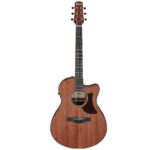 Ibanez AAM54CE-OPN