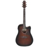 Ibanez AAD51CE-DVS