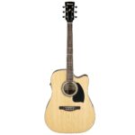Ibanez PF15ECE-NT