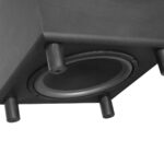 Fenton SHFS10B Subwoofer 100.309 - Image 5