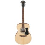 Ibanez VC50NJP-NT Jam Pack