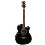 FLight F230C EQ BK
