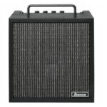 Ibanez IBZ10GV2