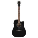 Ibanez PF15ECE-BK