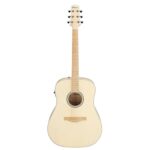 Ibanez AAD77M1E-OAW