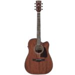 Ibanez AW54CE-OPN