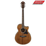 GITARA EL.-AK. IBANEZ AE245NT