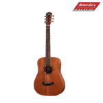 GITARA AK. TAYLOR Baby Mahogany BT2