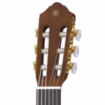 Yamaha C70 - Image 9