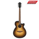 GITARA EL.-AK. IBANEZ AEG50 DHH