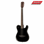 GITARA EL.-AK. EW3000CBK James Neligan