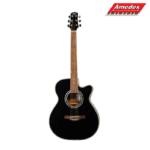 GITARA AKUSTIČNA FLIGHT F230C BLK