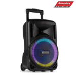 ZVUČNIK AKT. Fenton FT10LEDMK2 Prenosni BT 10" 450W 170.161
