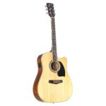 Ibanez PF15ECE-NT - Image 3