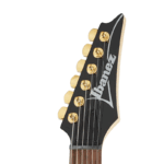 GITARA EL. IBANEZ RG421G-LBM - Image 4