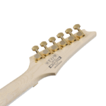 GITARA EL. IBANEZ RGR420FMSP-TGF - Image 6