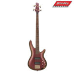 GITARA BASS IBANEZ SR300EDX RGC