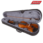 VIOLINA SET STAGG VN4/4L