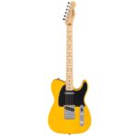 Fender Standard Tele MN BTB