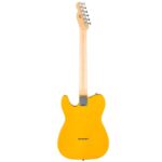 Fender Standard Tele MN BTB - Image 2