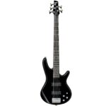 Ibanez GSR205-BK