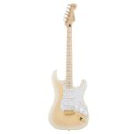 Fender Richie Kotzen Stratocaster TWB